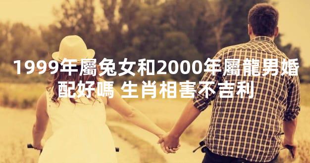 1999年屬兔女和2000年屬龍男婚配好嗎 生肖相害不吉利